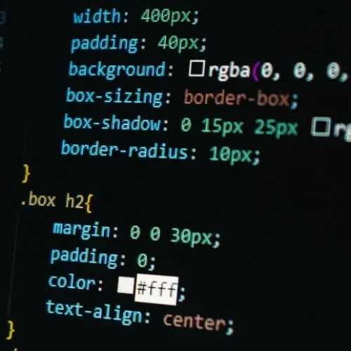 website-development